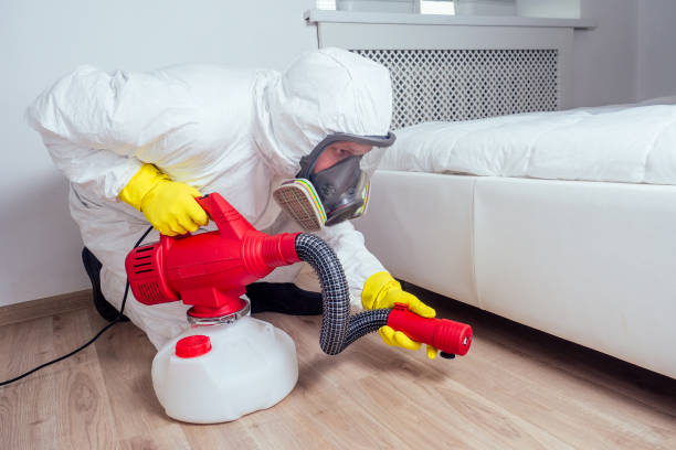 Best Rat Extermination Near Me  in South Zanesville, OH
