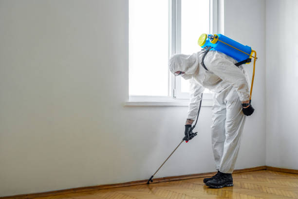 Best Pest Inspection Near Me  in South Zanesville, OH