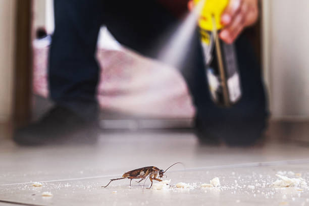  South Zanesville, OH Pest Control Pros